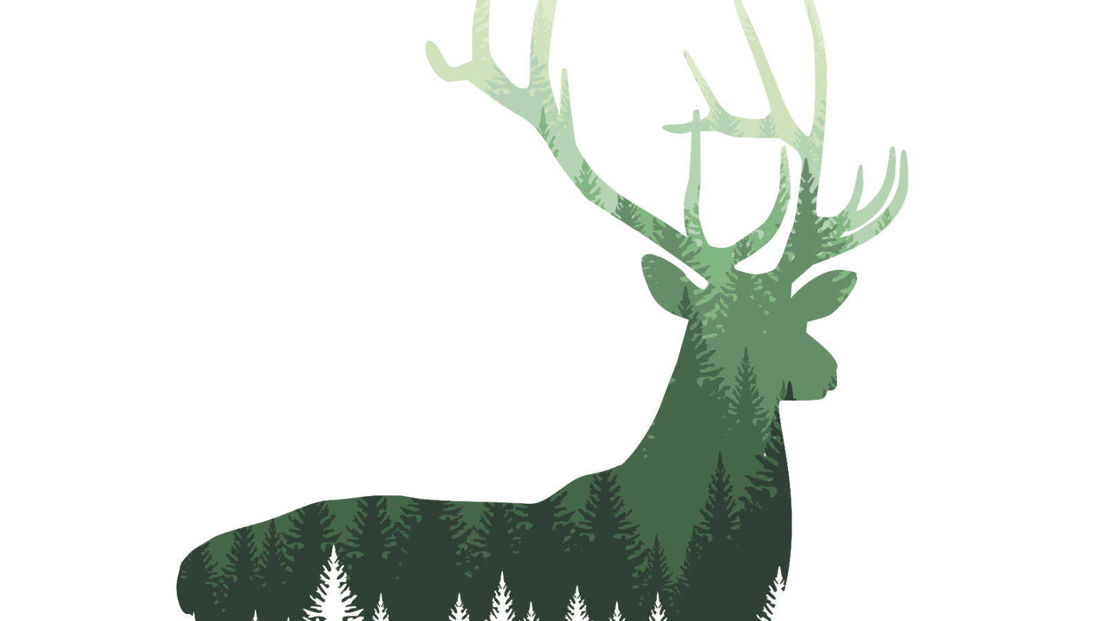 Bild zum Thema: Zeitgemäße Jagd: Ein Meilenstein für die Jagd von morgen
