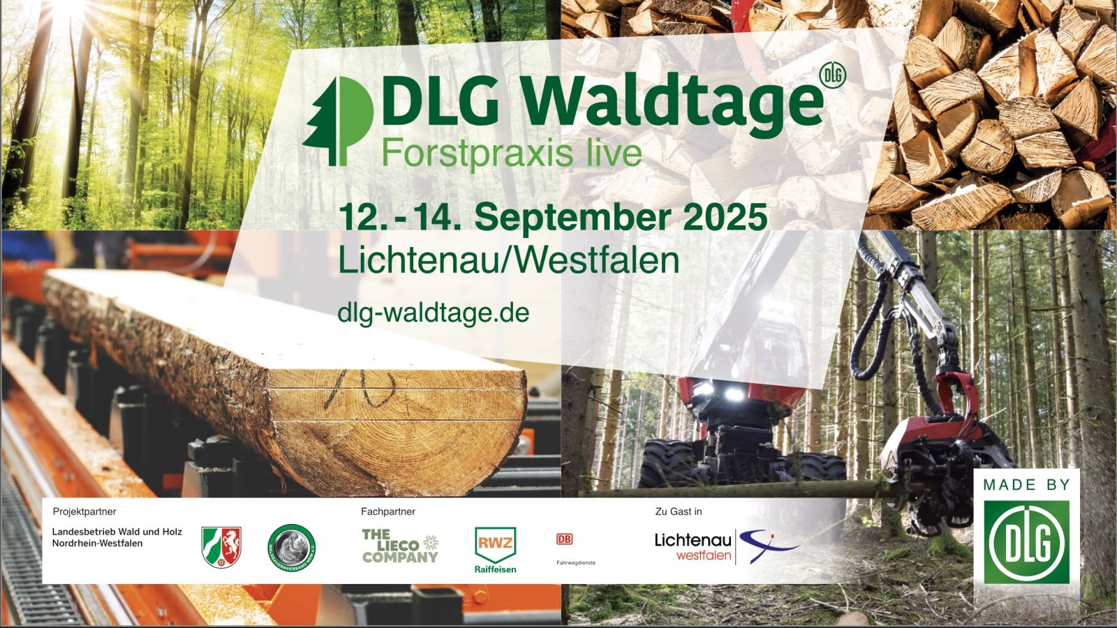 Bild zum Thema: DLG-Waldtage 2025