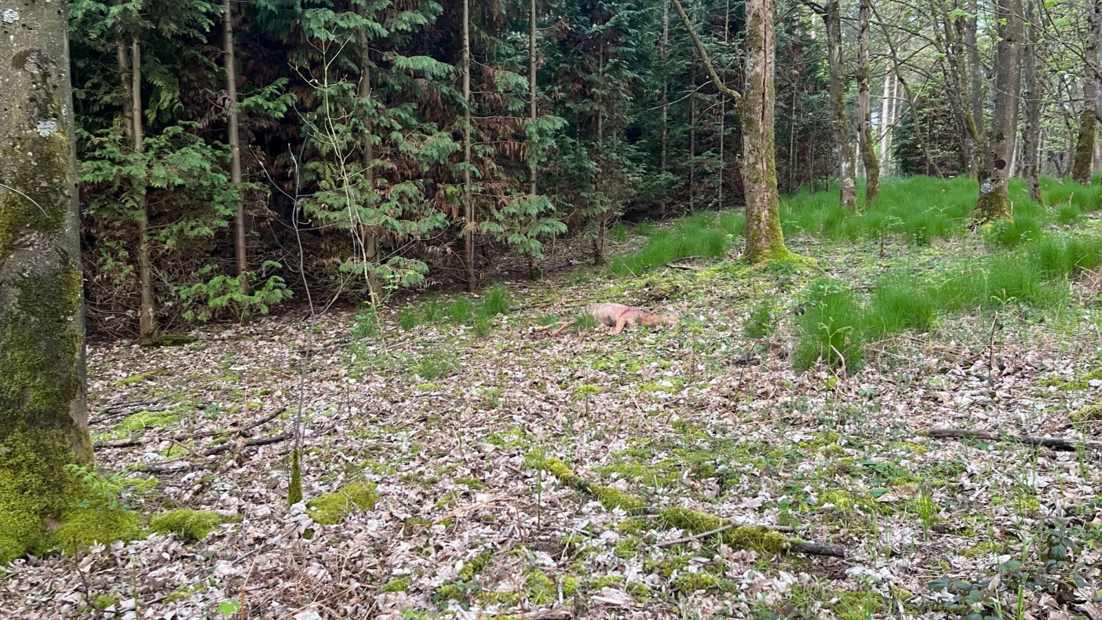 Bild zum Thema: Rückblick: Anschuss-Seminar am 20. Juli 2025