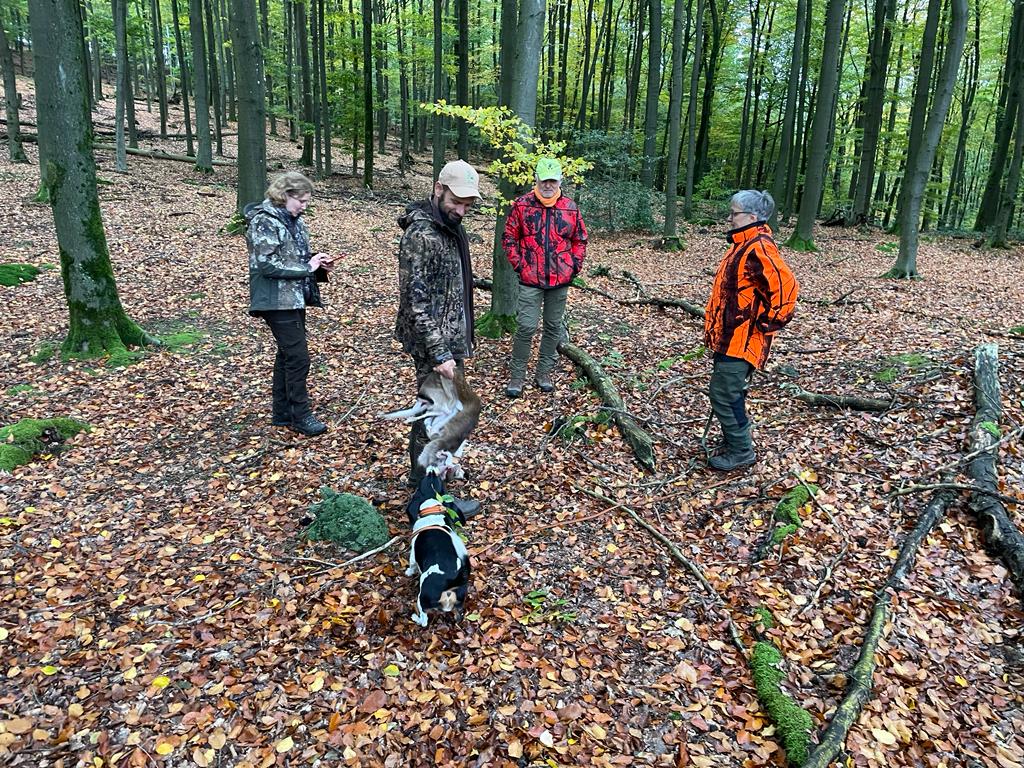 Bild zu: Die erste Brauchbarkeitsprüfung „Nachsuche auf Schalenwild“ des ÖJV.NRW im Stadtwald Hagen.