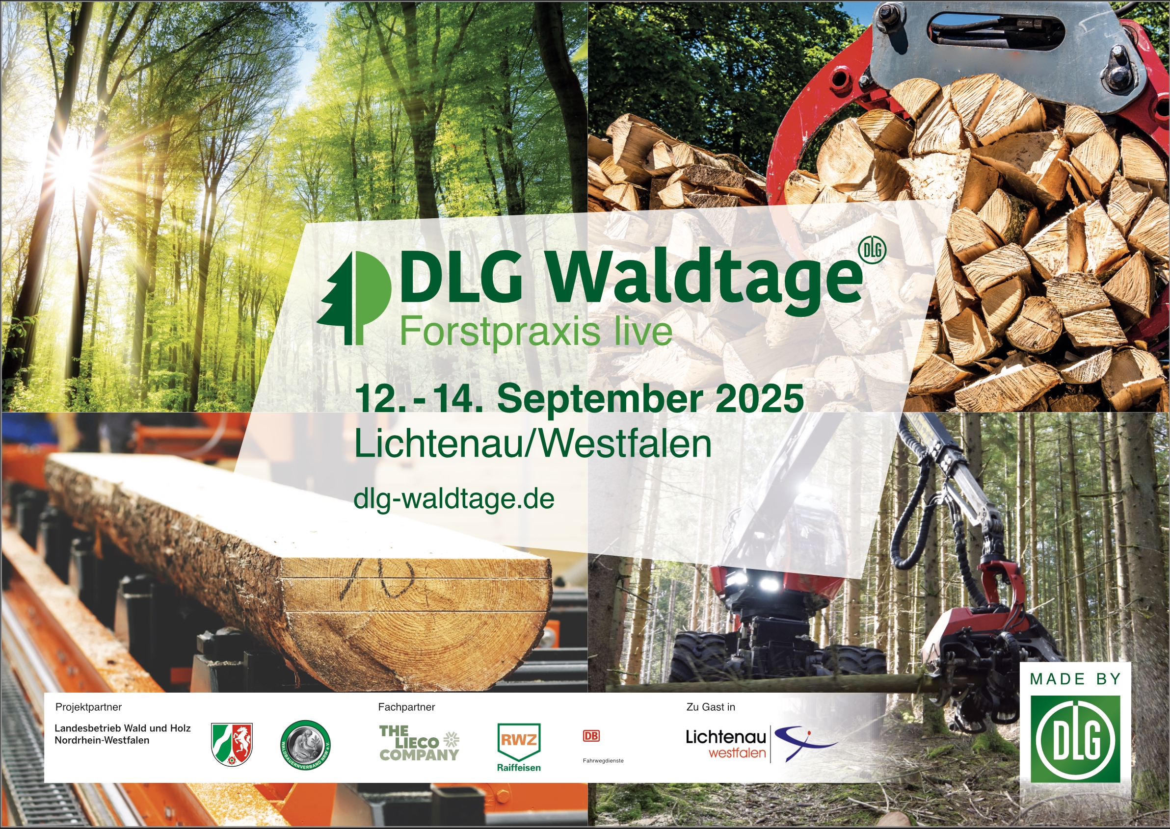 Bild zu: DLG-Waldtage 2025