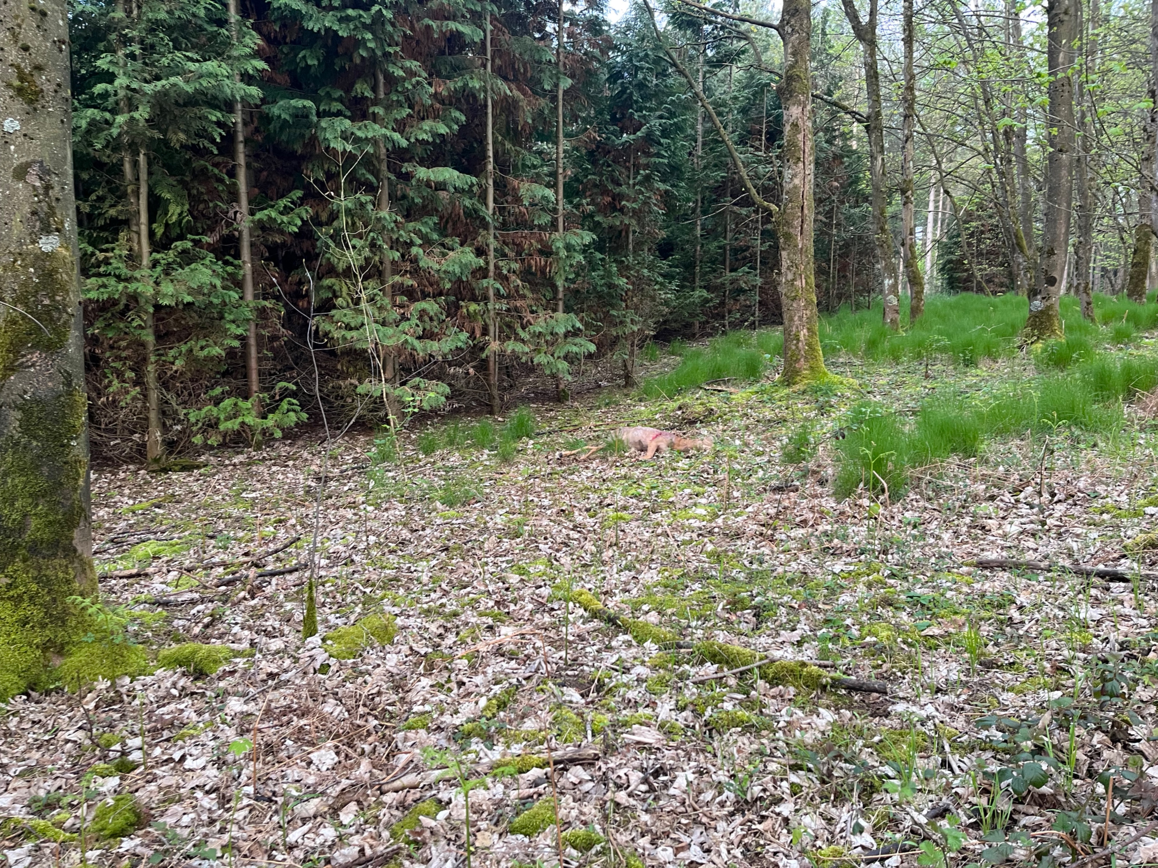 Bild zu: Rückblick: Anschuss-Seminar am 20. Juli 2025