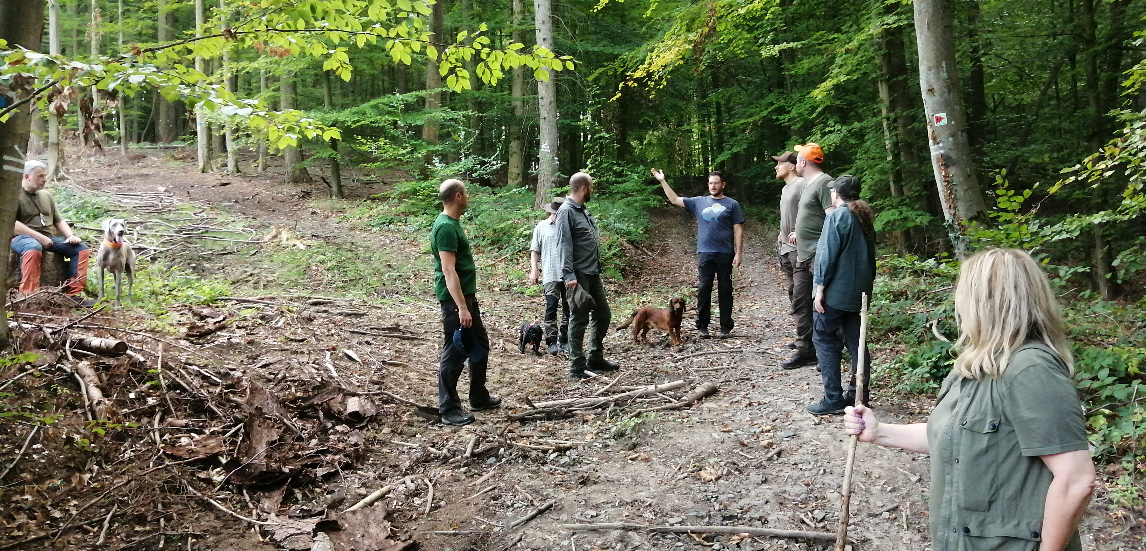 Bild zu: Mit „20 W’s“ zum Jagderfolg