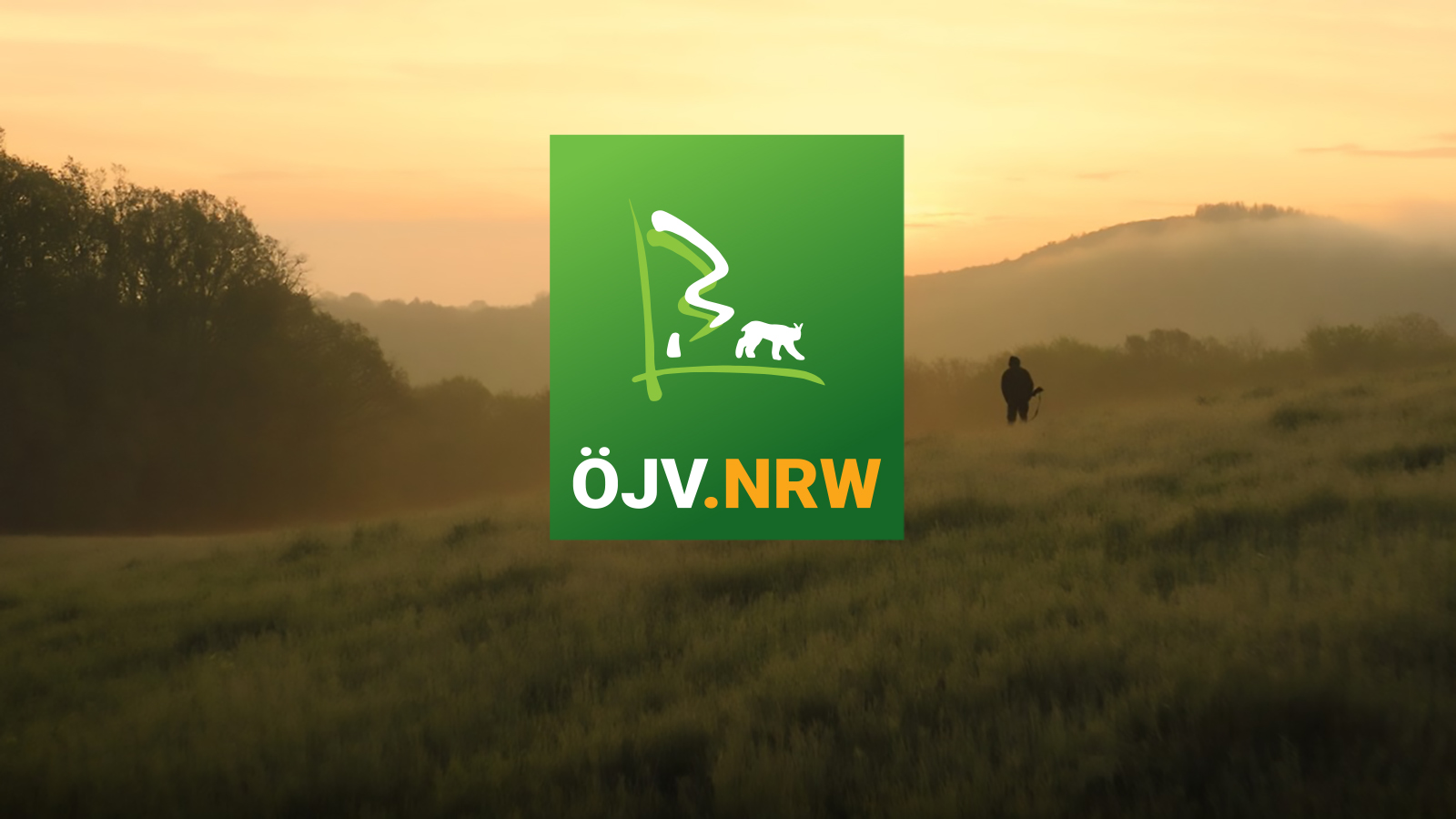 Bild zu: Der  ÖJV.NRW – und verschiedenste forstliche Verbände – warnen: Ohne frühere Rehwildbejagung scheitert die Wiederbewaldung