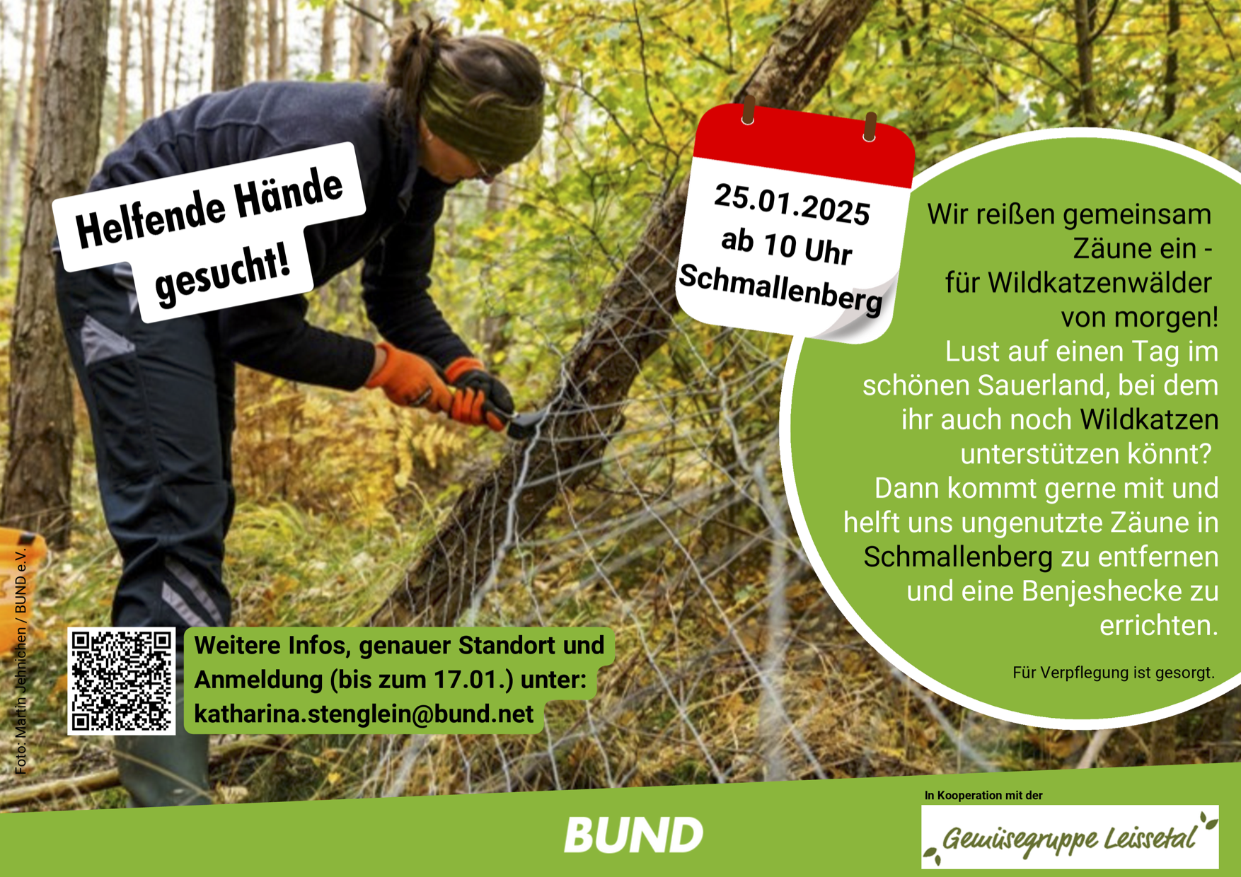 Bild zu: TIPP: Der BUND lädt ein: „Wir reißen gemeinsam Zäune ab FÜR DIE WILDKATZENWÄLDER VON MORGEN“