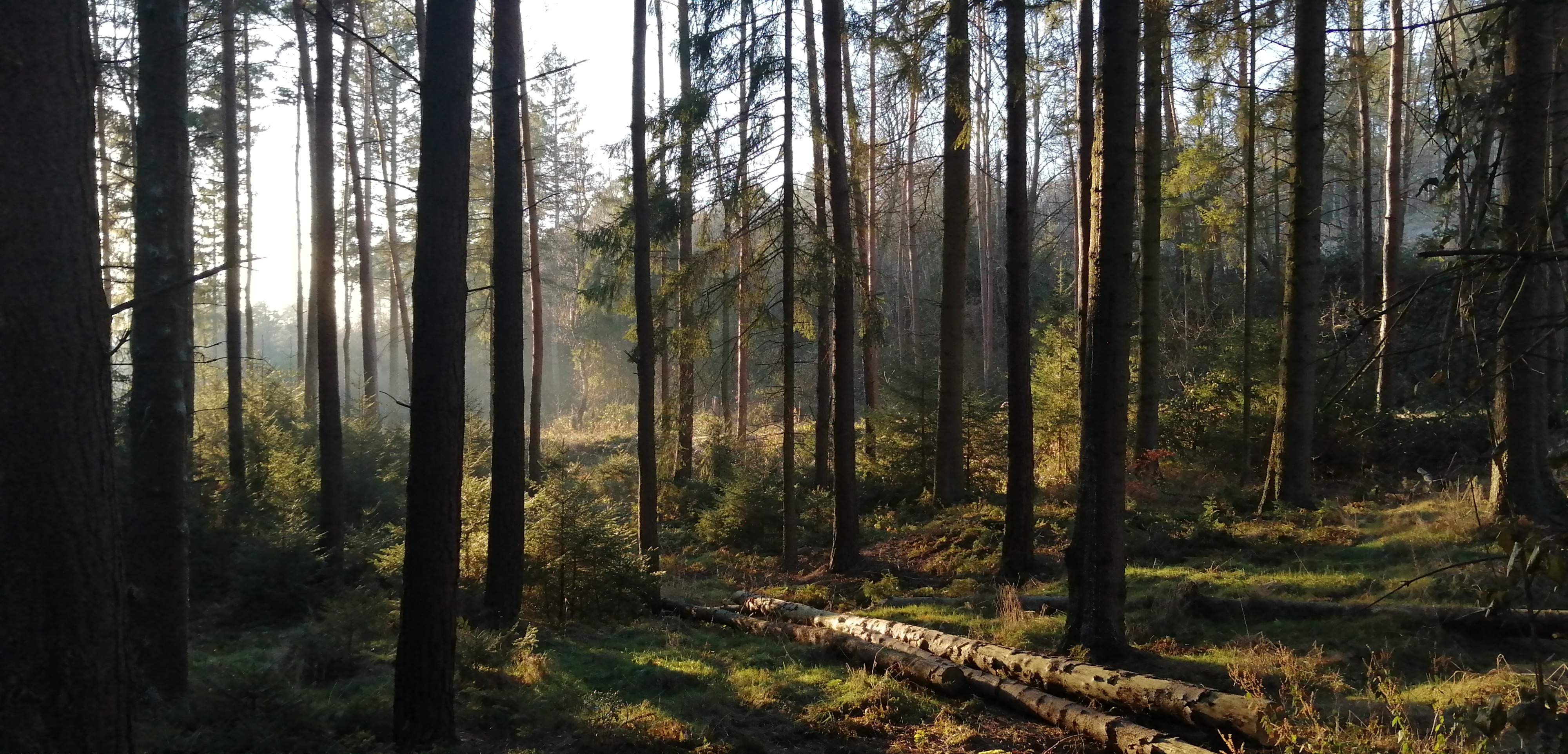 Bild zu: ÖJV-Lehrrevier als „best practise“-Revier im PEFC-Seminar vorgestellt.  