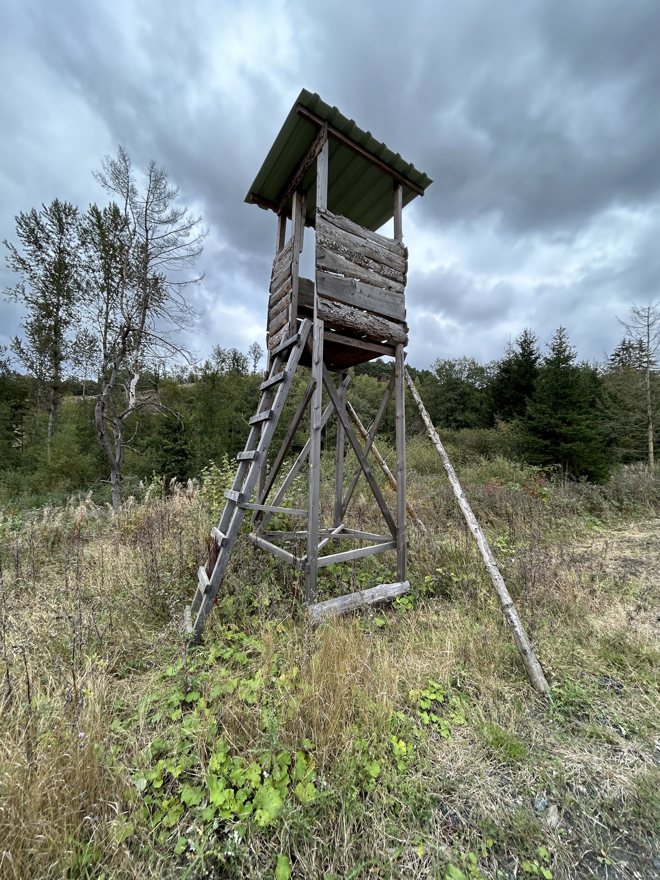 Mit „20 Ws“ zum Jagderfolg