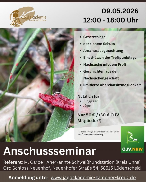 Anschussseminar