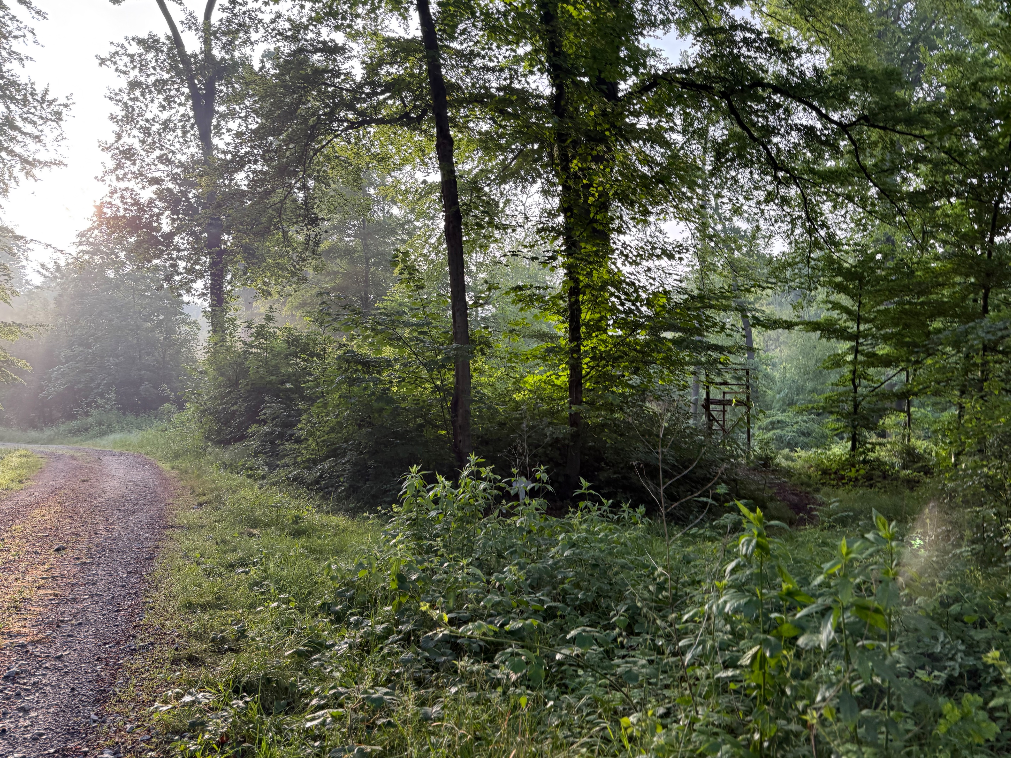 Exkursion„Jagen im urbanen Raum – Herausforderungen und Chancen“
