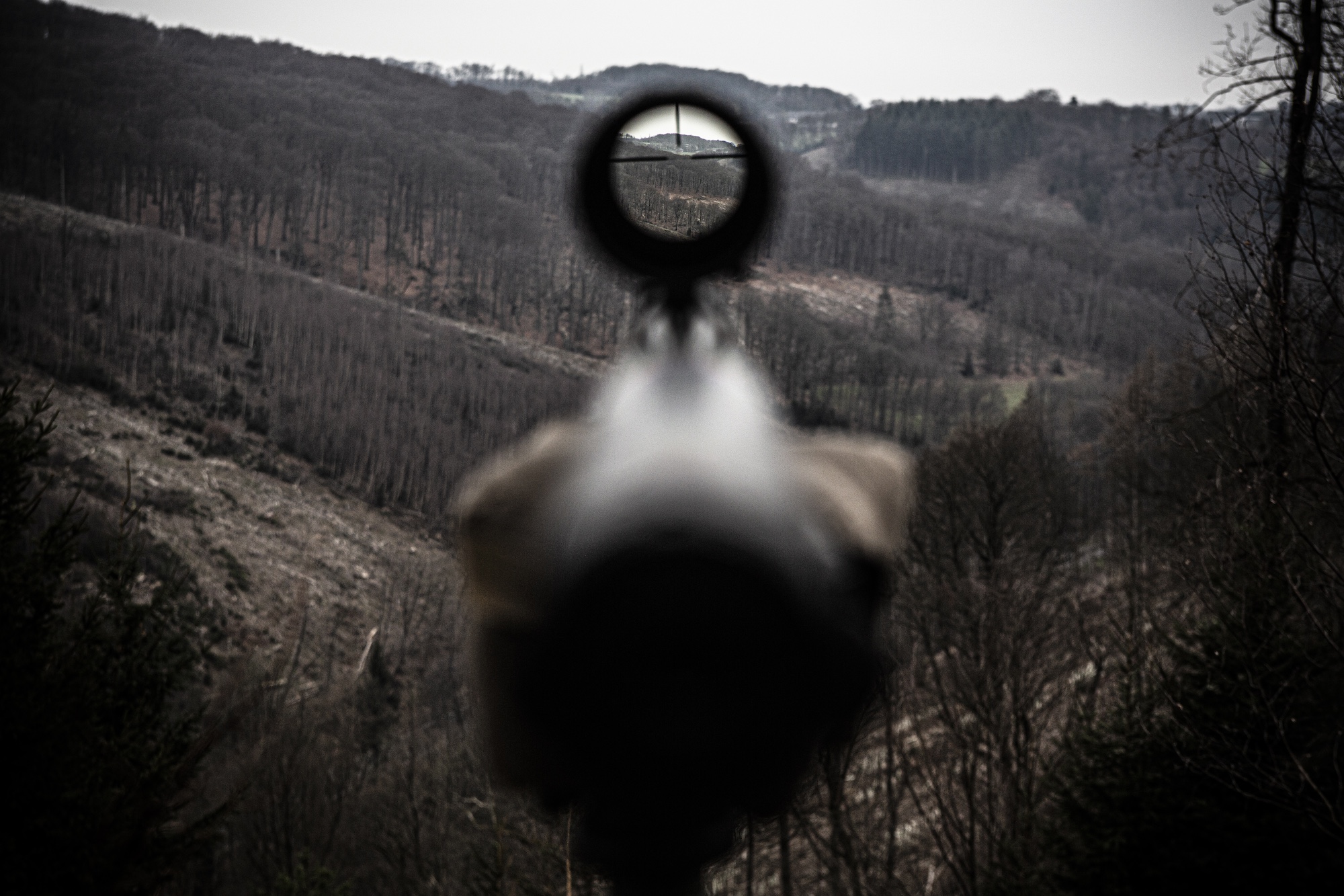 Jagdlicher Weitschuss