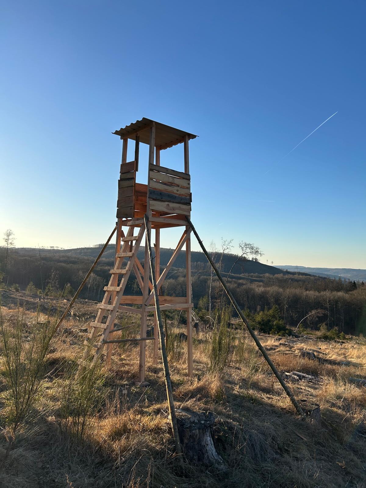 Hochsitzbauseminar – Einfach, sicher und nachhaltig bauen